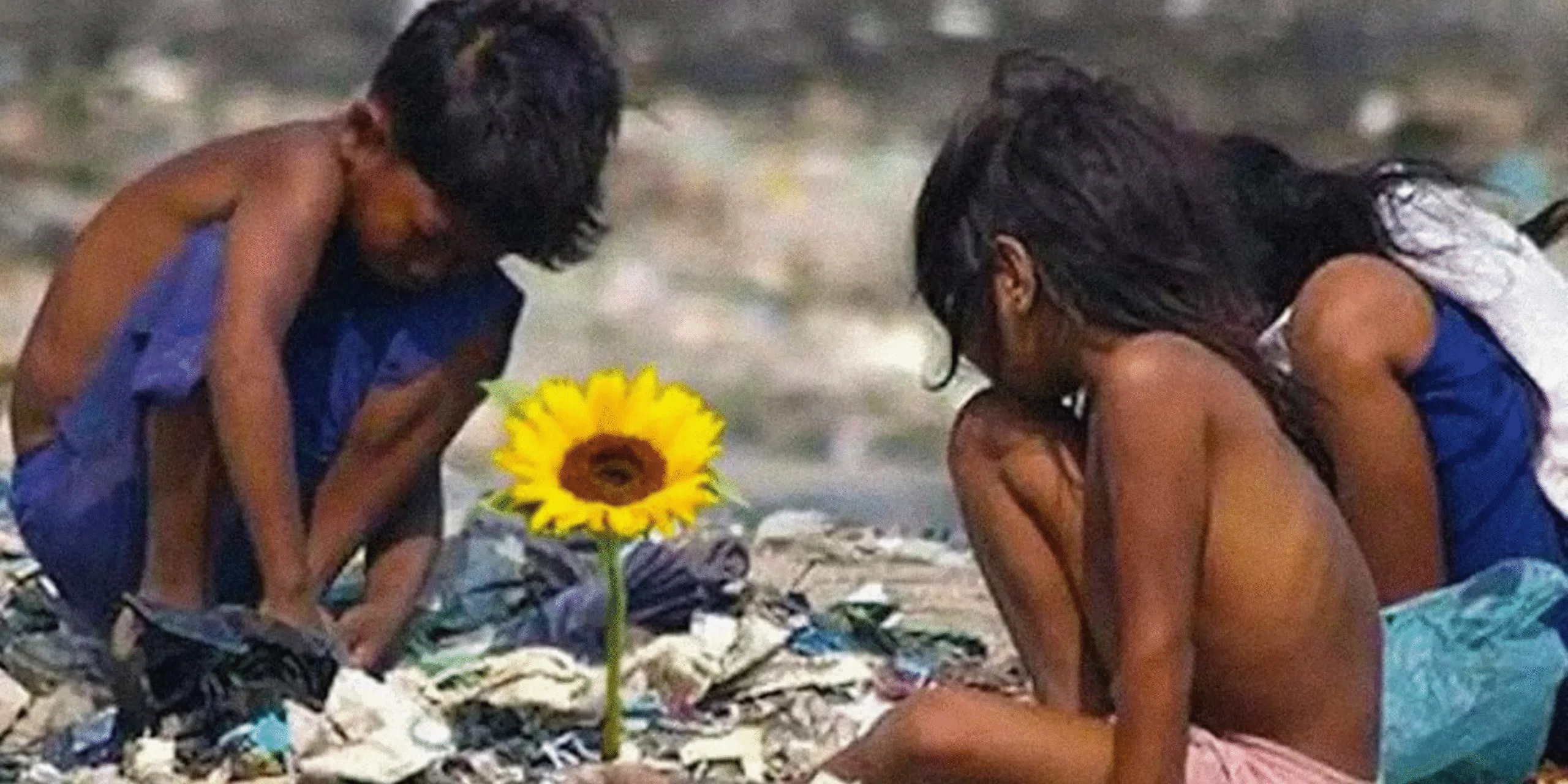 CRÍTICA: ILHA DAS FLORES