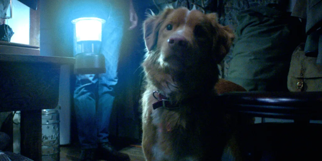 CRÍTICA: BOM MENINO