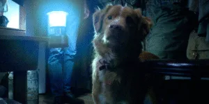 CRÍTICA: BOM MENINO