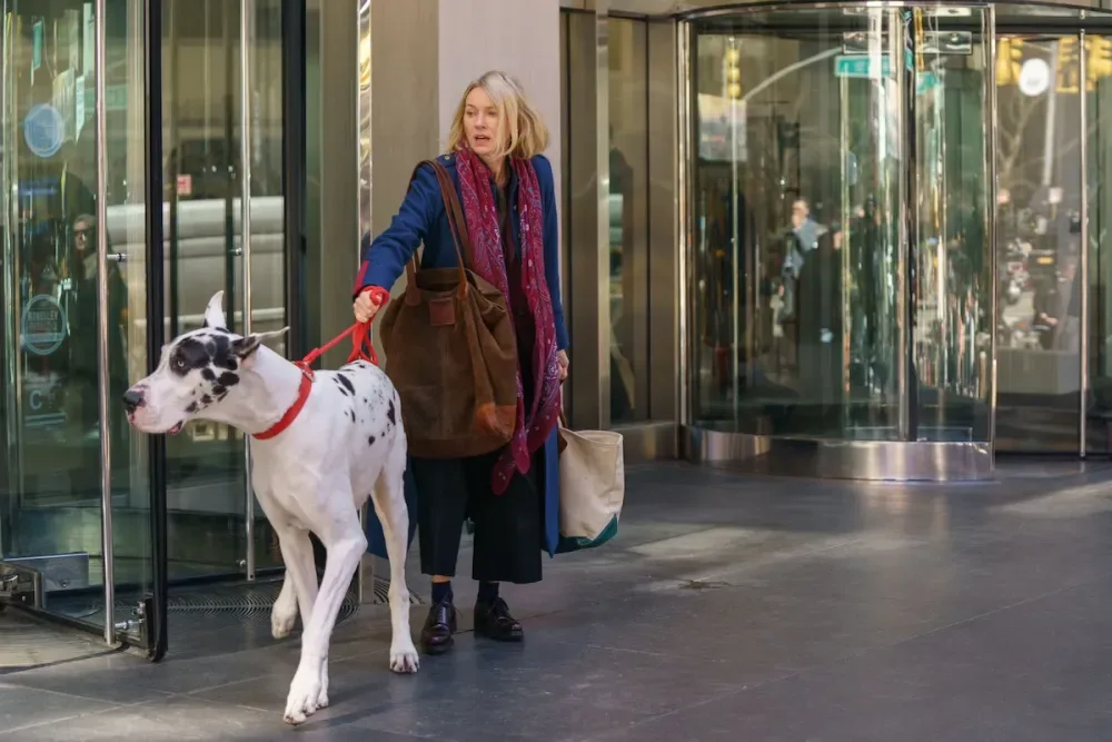 image-15 PRIME VIDEO: ESTREIAS DE OUTUBRO
