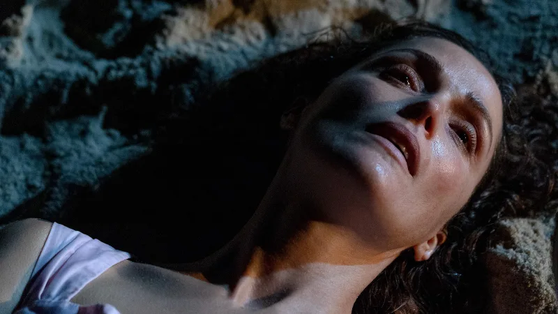 If-I-Had-Legs-I´d-Kick-You-Rose-Byrne Crítica: Seu eu tivesse Pernas, Eu Te Chutaria