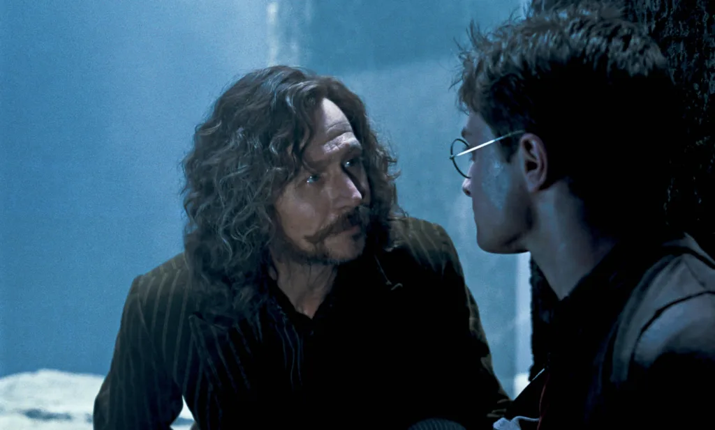 image-47-1024x617 Sirius Black: Sua Trajetória de Rebeldia, Lealdade e Sacrifício