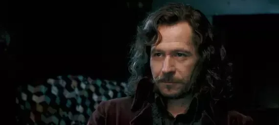 image-48 Sirius Black: Sua Trajetória de Rebeldia, Lealdade e Sacrifício