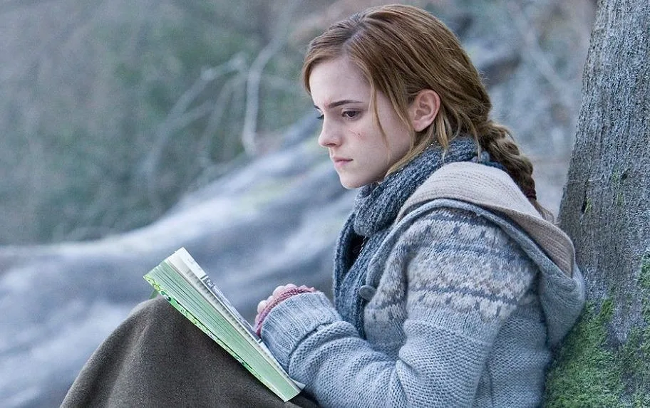 image-20 15 Fatos da batalha de Hogwarts que os filmes omitiram (Parte 1)