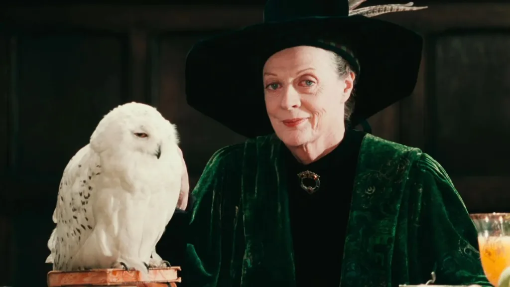 image-24-1024x576 15 Fatos da batalha de Hogwarts que os filmes omitiram (Parte 1)