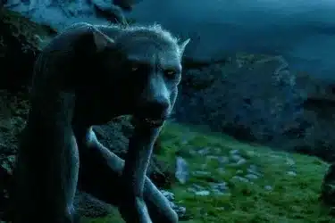 image-3 A Trajetória de Remus Lupin: Entre a Maldição e o Heroísmo