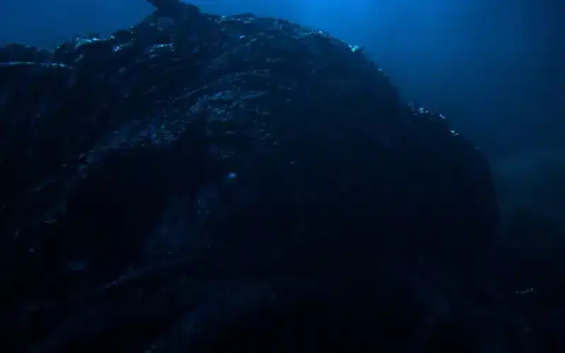Crítica: Kraken – Terror no Mar