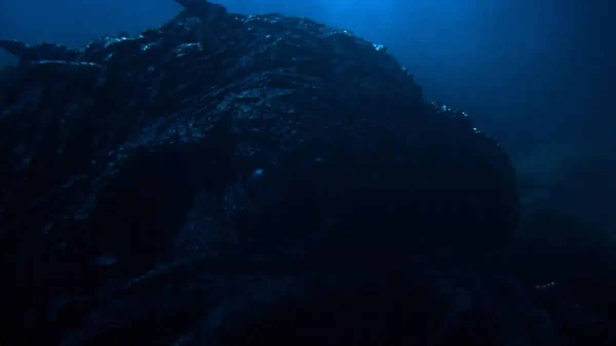 Crítica: Kraken – Terror no Mar