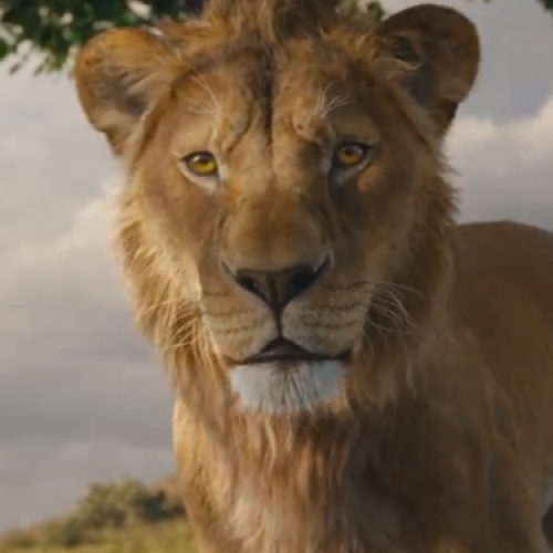 Mufasa: O Rei Leão ganha novo trailer e pôster na D23 Brasil; confira